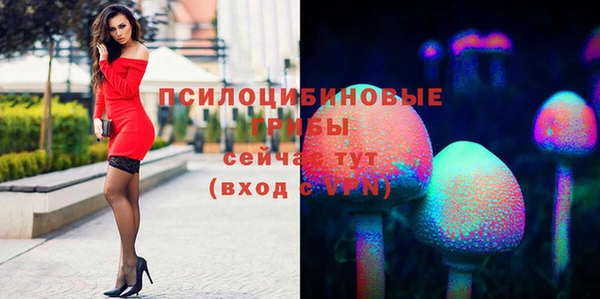меф Арсеньев
