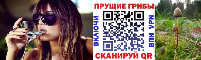 где можно купить   MEGA зеркало  Галлюциногенные грибы GOLDEN TEACHER  Полярный 